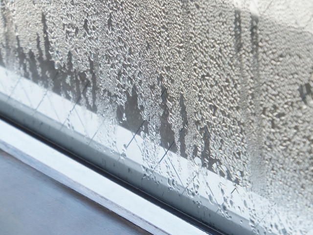 簡単に出来る窓の結露対策には「食器用洗剤」が効果的！